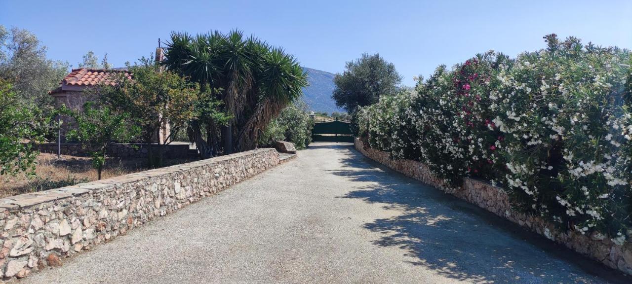 Ellie'S Stonehouse Gianapa, Porto Rafti, Greece, 190 03, Gr Villa Eksteriør bilde